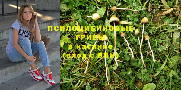 дмт Алексин