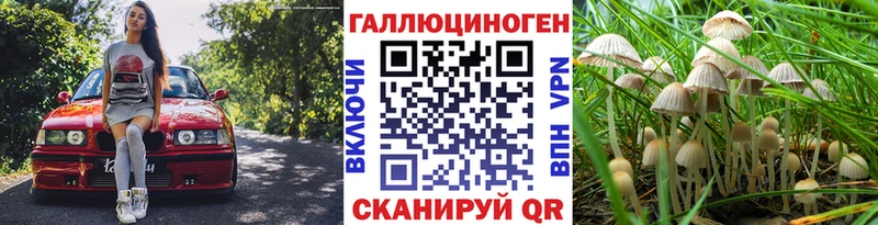 Галлюциногенные грибы Cubensis  Красноуфимск 
